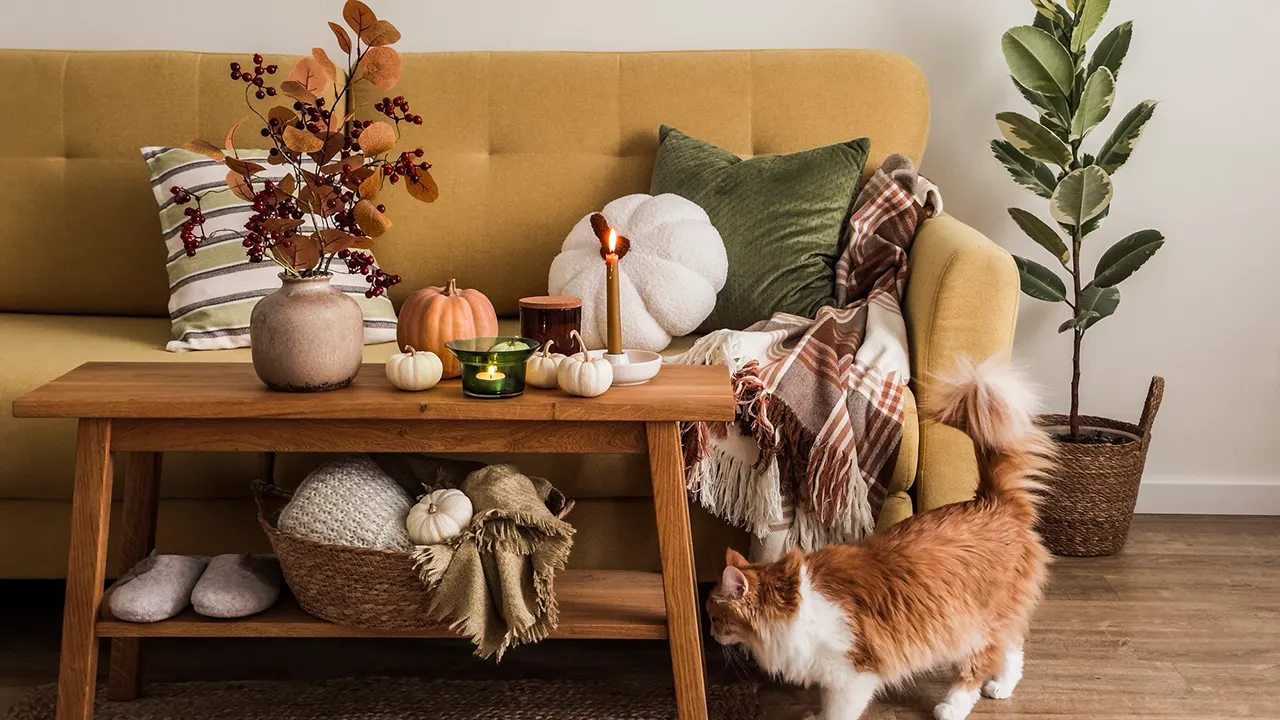 Haz que tu hogar sea más acogedor para el otoño con estas mejoras por menos de $50