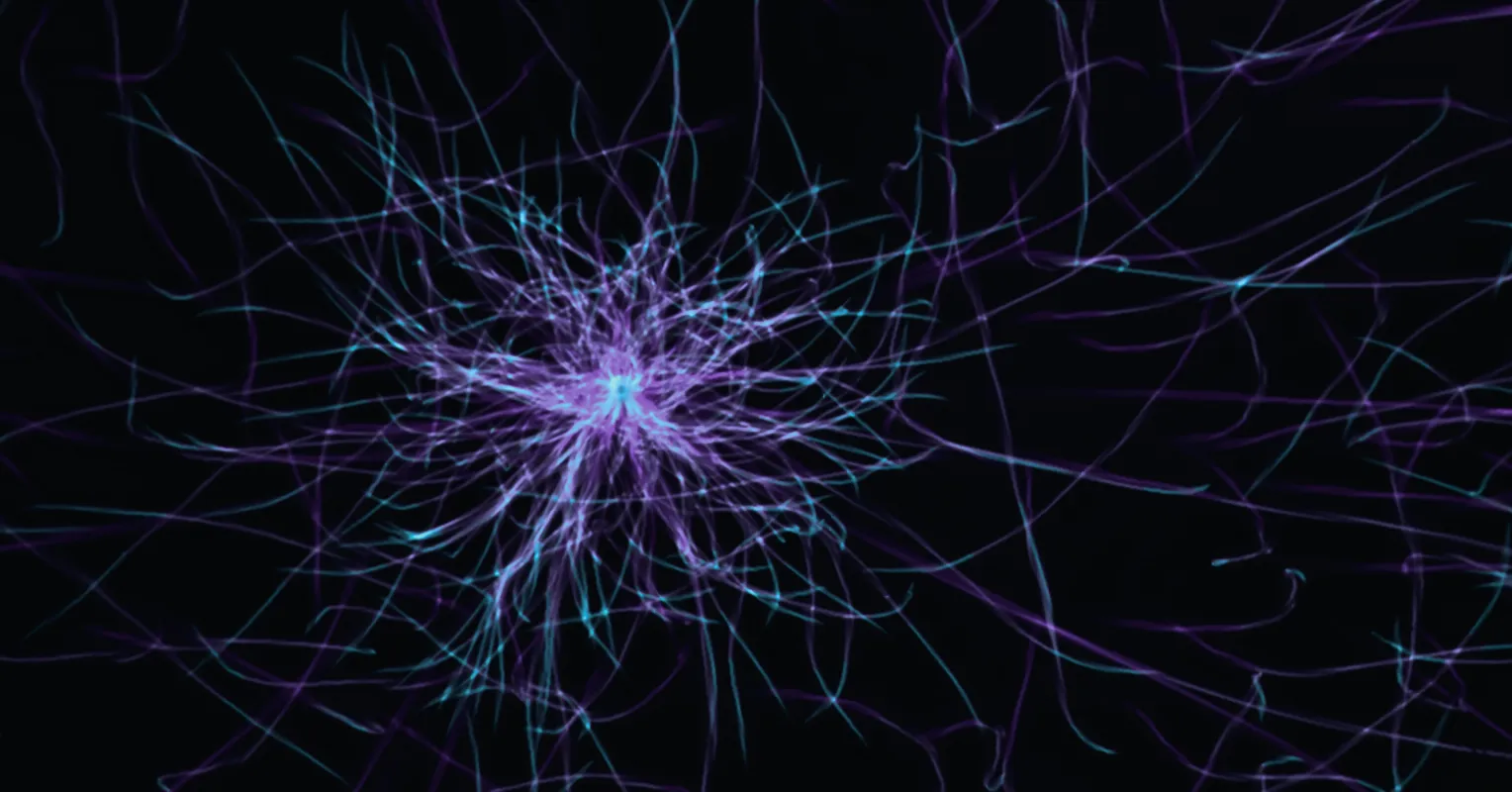 Cómo mi cerebro refleja el tuyo