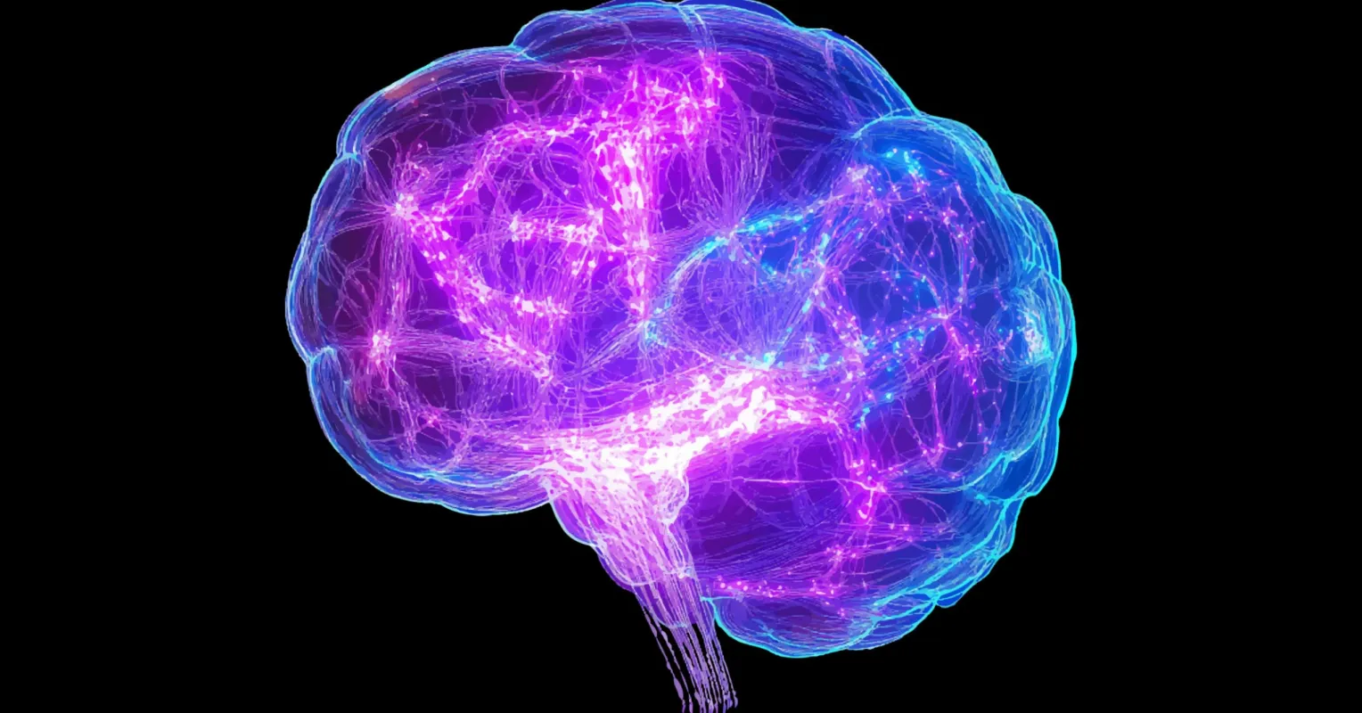 Construyendo plasticidad neural positiva en la mente brillante